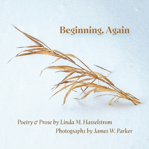 Beginning, Again