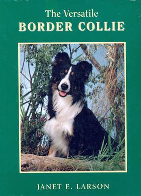 The Versatile Border Collie