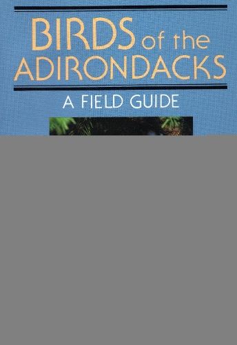 Birds Of The Adirondacks