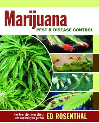 Marijuana Pest & Disease Control