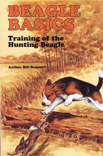 Beagle Training Basics