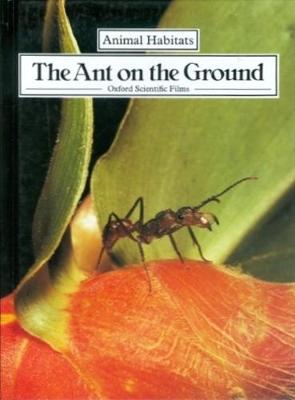 The Ant on the Ground