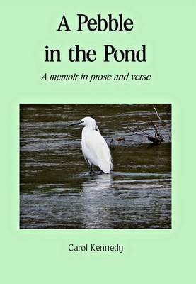 A Pebble in the Pond
