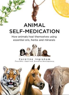 Animal Self-Medication
