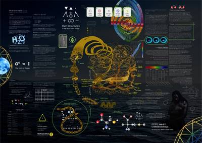Hair Structure Science
