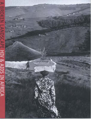 A Broken Landscape