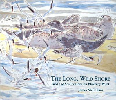 The Long, Wild Shore