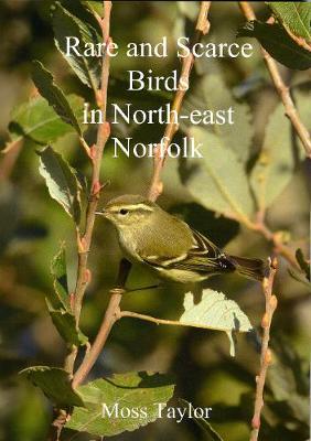 Rare and Scarce Birds in North-east Norfolk