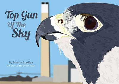 Top Gun of the Sky