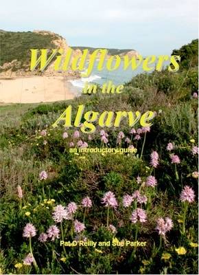 Wildflowers in the Algarve