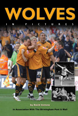 Wolves in Pictures