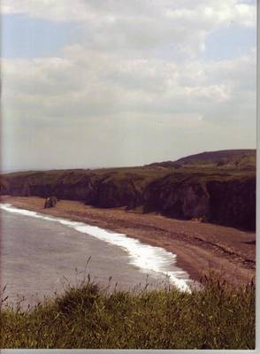 Nose's Point