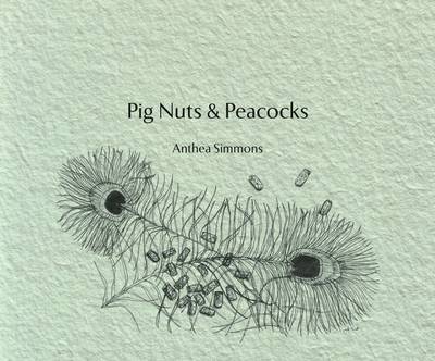Pig Nuts and Peacocks
