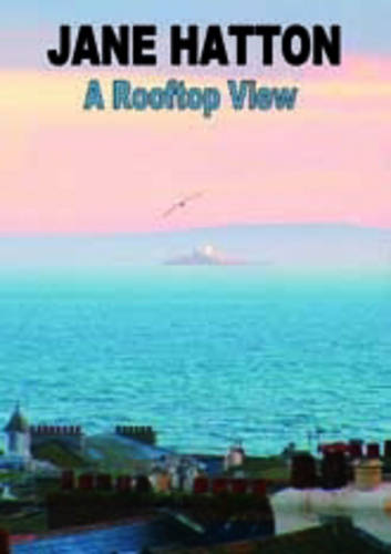 A Rooftop View