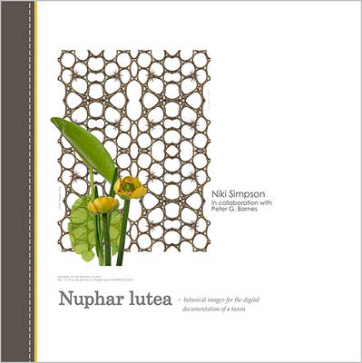 Nuphar Lutea