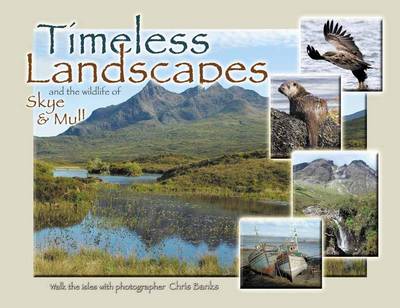 Timeless Landscapes