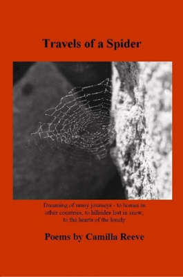 Travels of a Spider