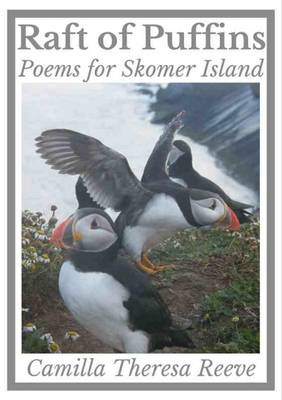 Raft of Puffins