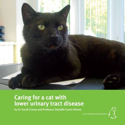 Caring for a Cat with Lower Urinary Tract Disease