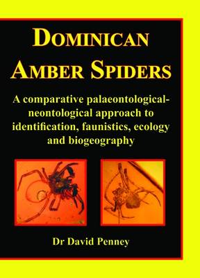 Dominican Amber Spiders