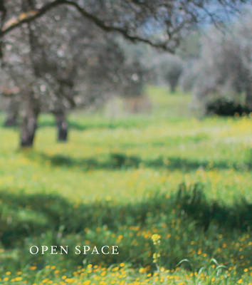 Open Space