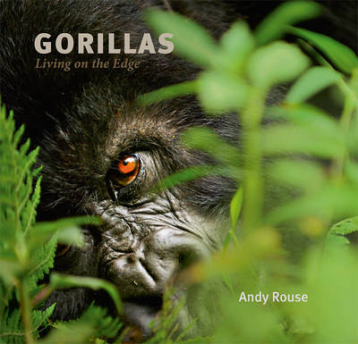 Gorillas