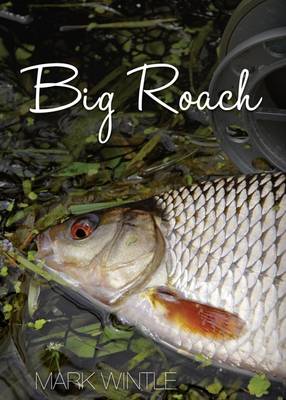 Big Roach