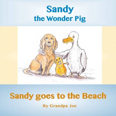 Sandy Goes to the Beach