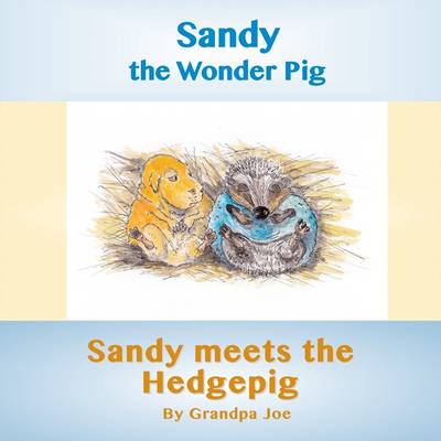 Sandy Meets the Hedgehog