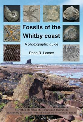 Fossils of the Whitby Coast