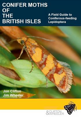 Conifer Moths of the British Isles