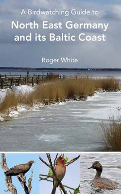 A Birdwatching Guide to North East Germany and its Baltic Coast