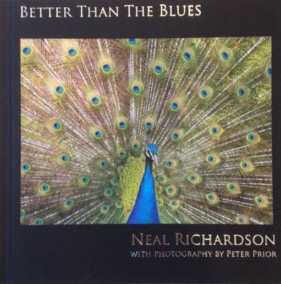 Better Than the Blues