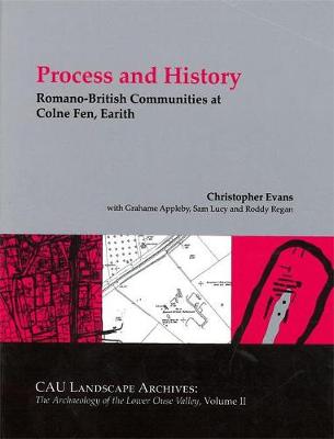 Romano-British Communities at Colne Fen, Earith