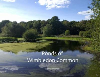 Ponds of Wimbledon Common