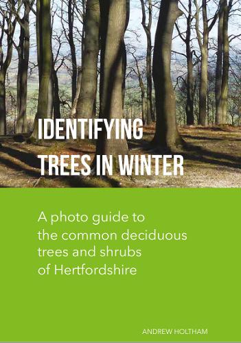 Identifying Trees in Winter