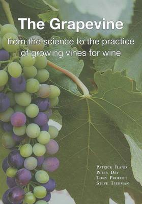 The Grapevine