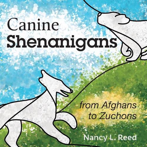Canine Shenanigans