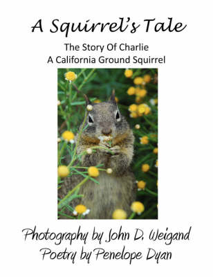 A Squirrel's Tale