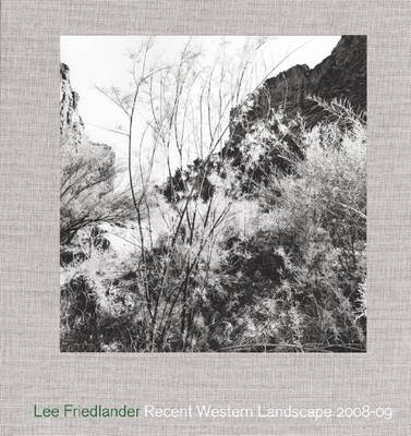 Lee Friedlander - Recent Western Landscape 2008-09