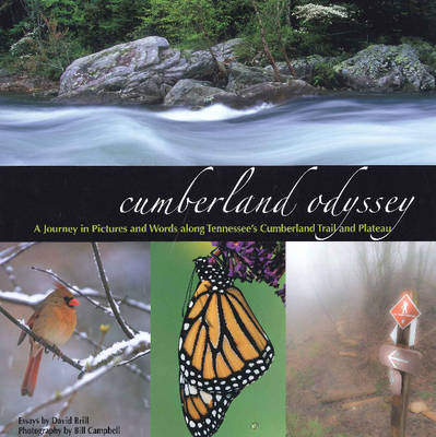 Cumberland Odyssey