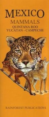 Mexico: Mammals - Quintana Roo, Yucatan, Campeche