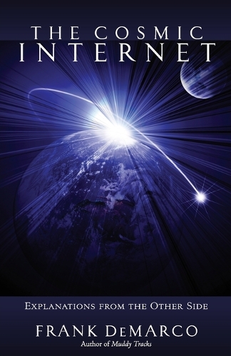 The Cosmic Internet