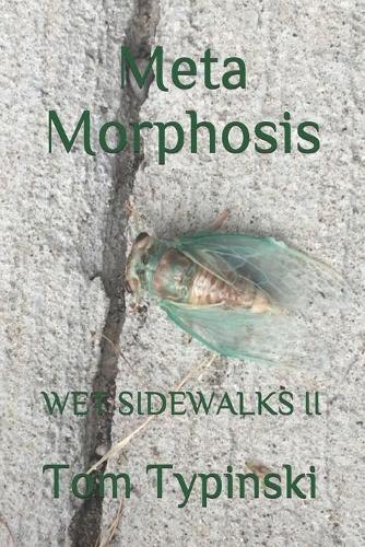 Meta Morphosis