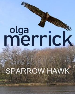 Sparrow Hawk