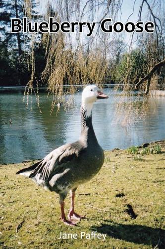 Blueberry Goose