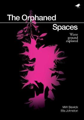 The Orphaned Spaces