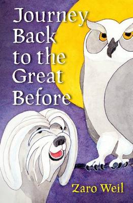 Journey Back to the Great Before