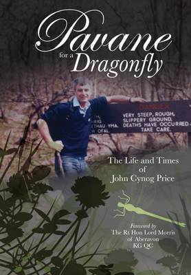 Pavane for a Dragonfly