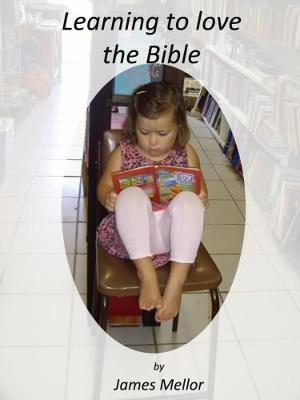 Learning to love the Bible